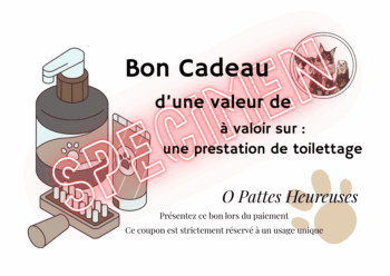 Bon cadeau